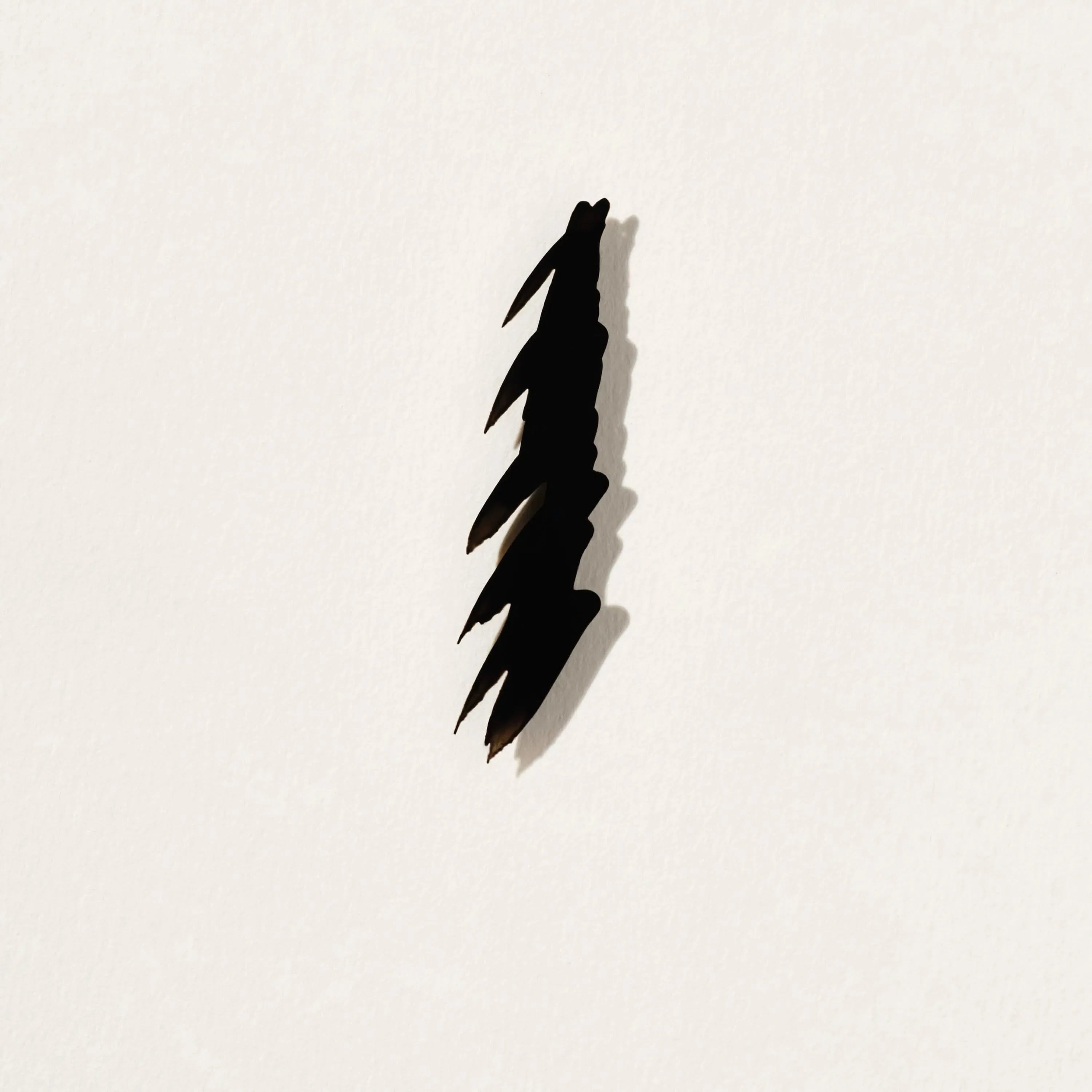 Liquid Eyeliner